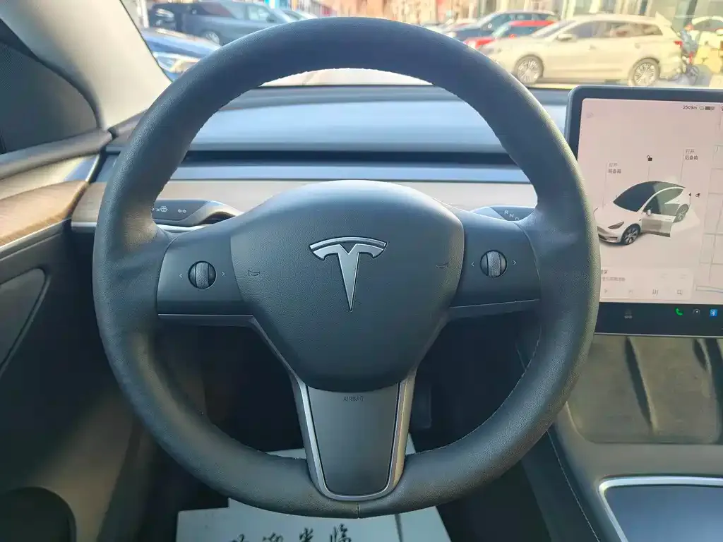 Tesla Model Y 2021 из CN, фото 6
