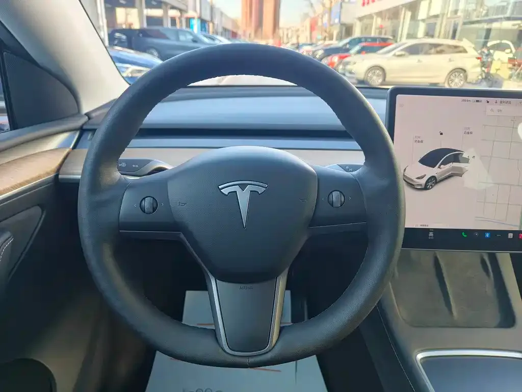Tesla Model Y 2021 из CN, фото 4