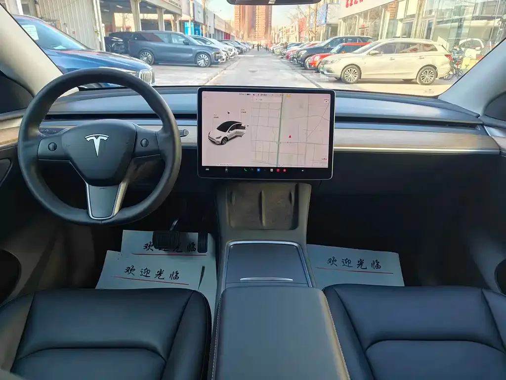 Tesla Model Y 2021 из CN, фото 8