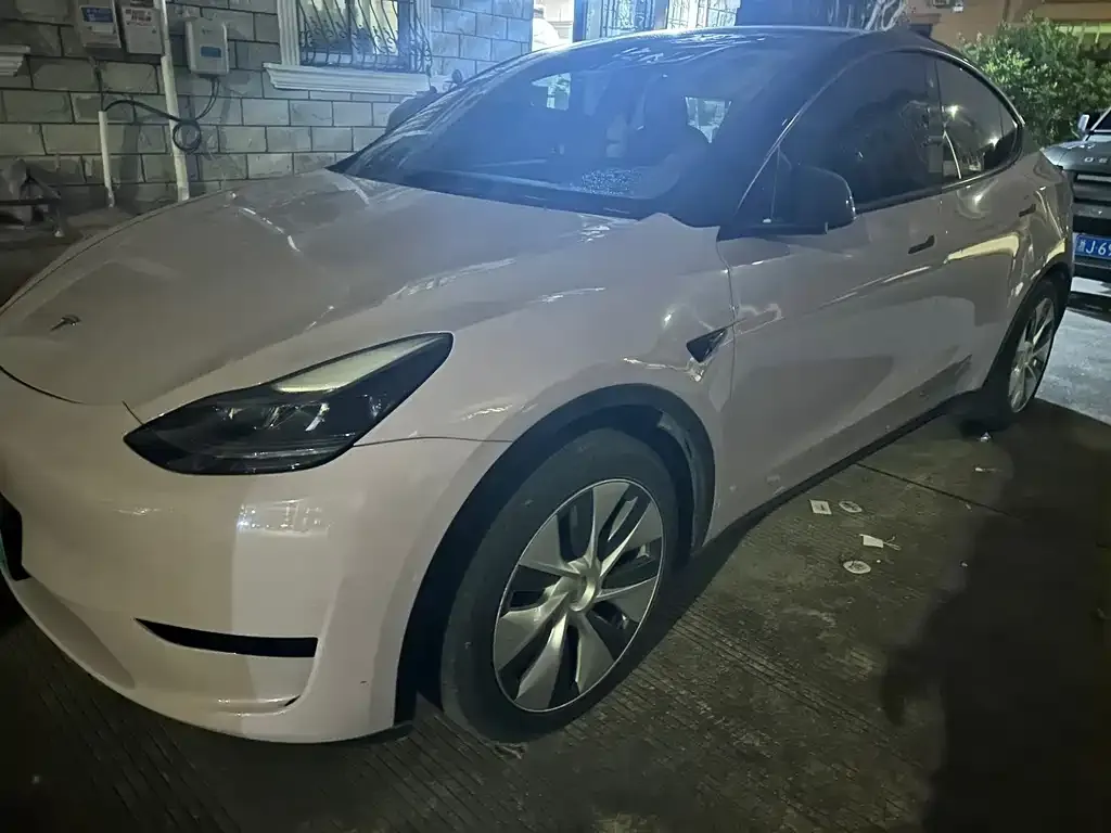 Tesla Model Y 2022 из CN, фото 1