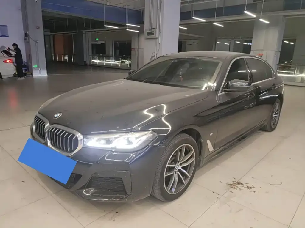 BMW 5 Series 2022 из CN, фото 1