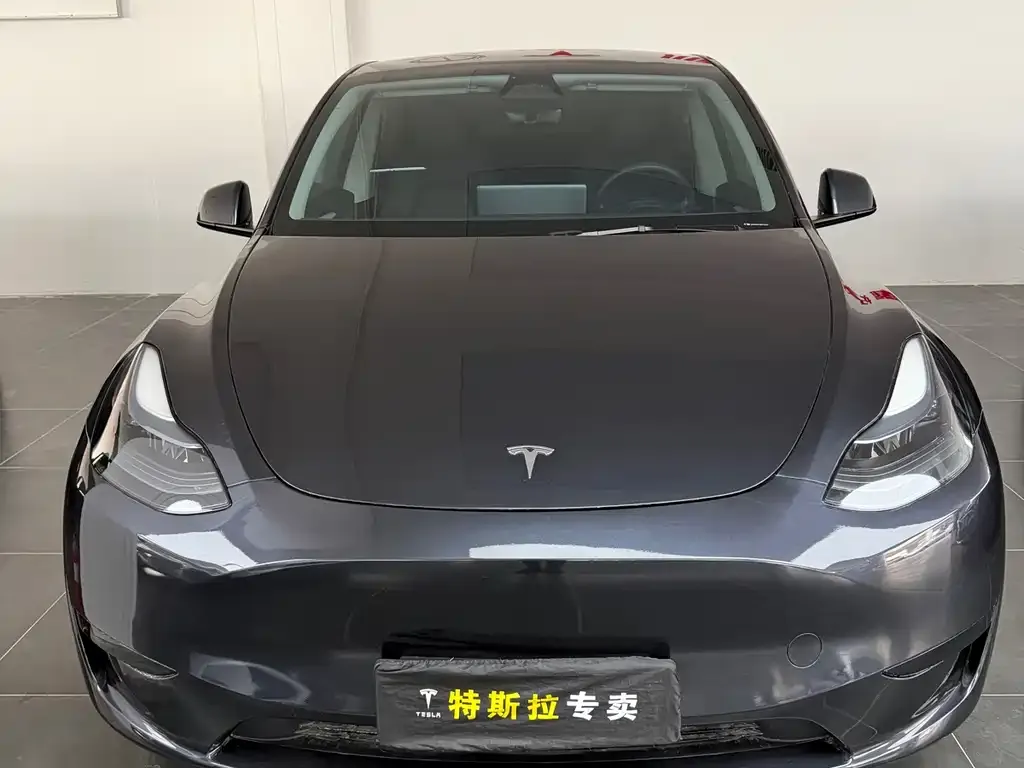 Tesla Model Y 2024 из CN, фото 4