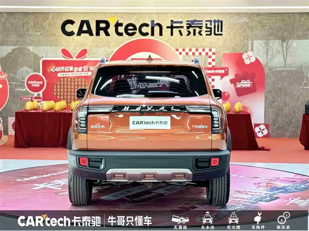 Haval Big Dog 2021 из CN, фото 7