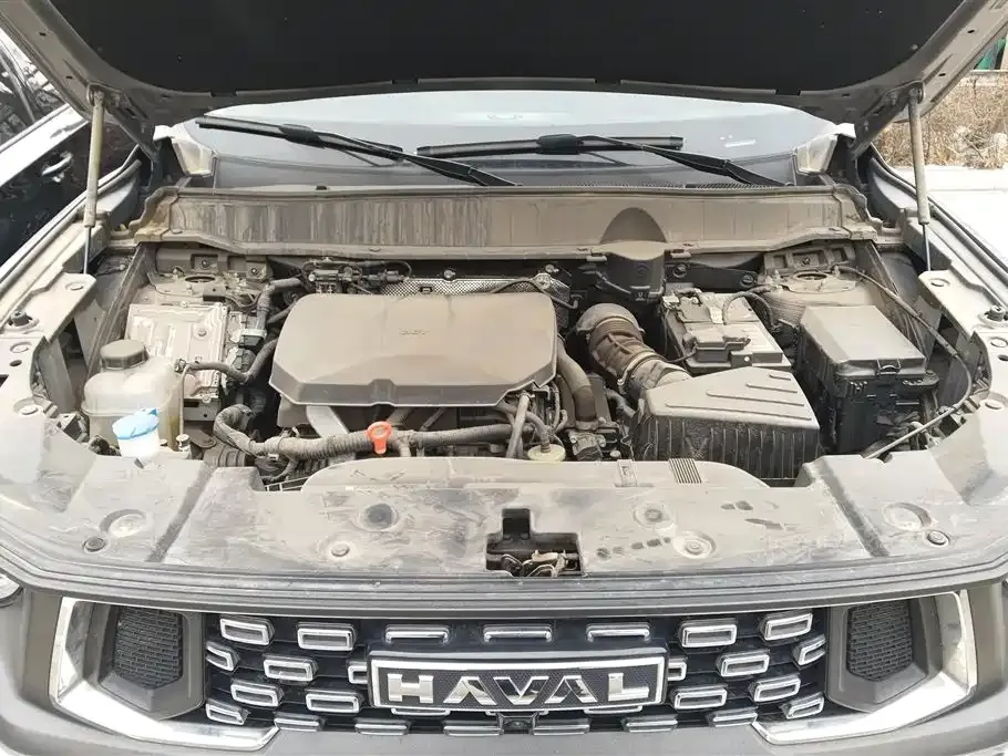 Haval H7 (Big Dog Plus) 2024 из CN, фото 7