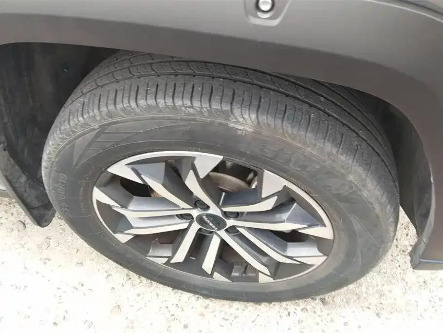 Haval H7 (Big Dog Plus) 2024 из CN, фото 4