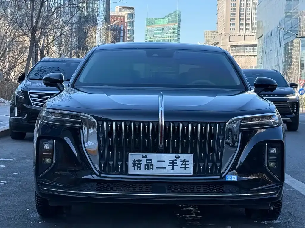 Hongqi H9 2024 из CN, фото 2