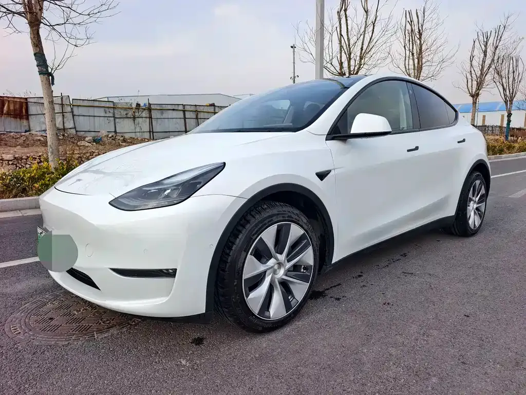 Tesla Model Y — фото 1