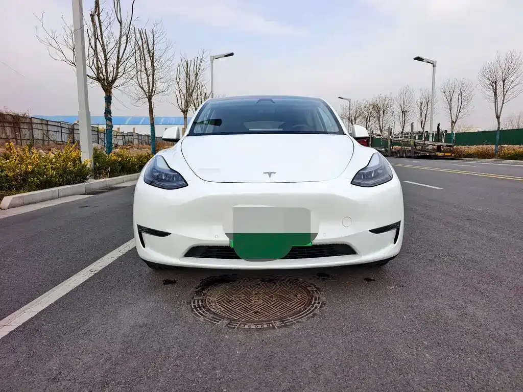 Tesla Model Y — фото 6