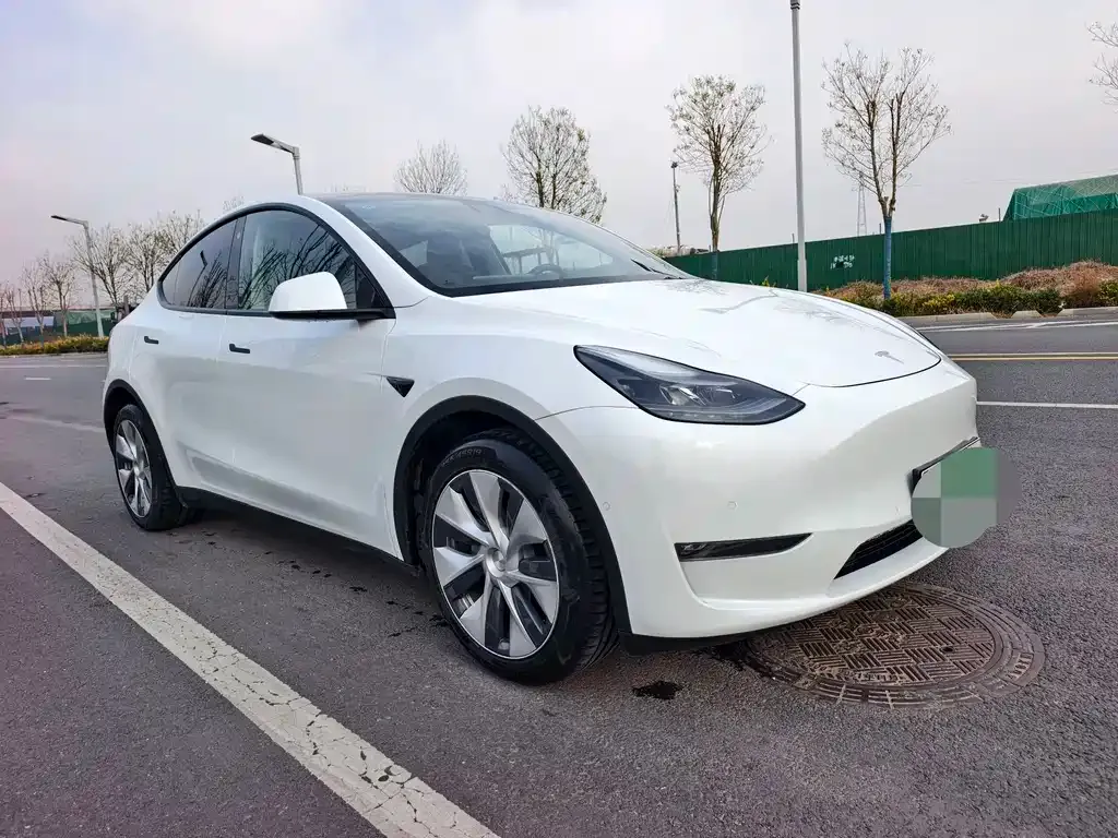 Tesla Model Y — фото 10