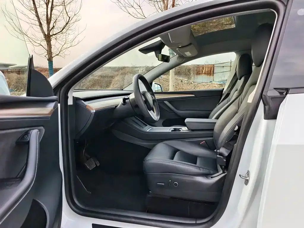 Tesla Model Y — фото 4