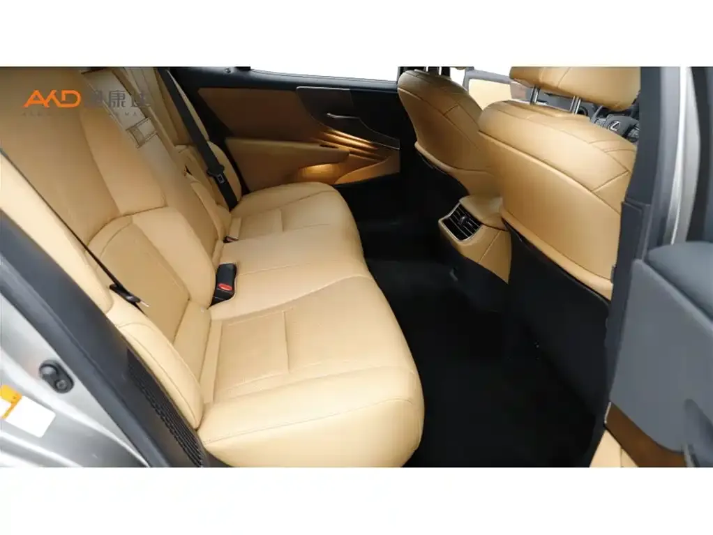 Lexus LS 2021 из CN, фото 6