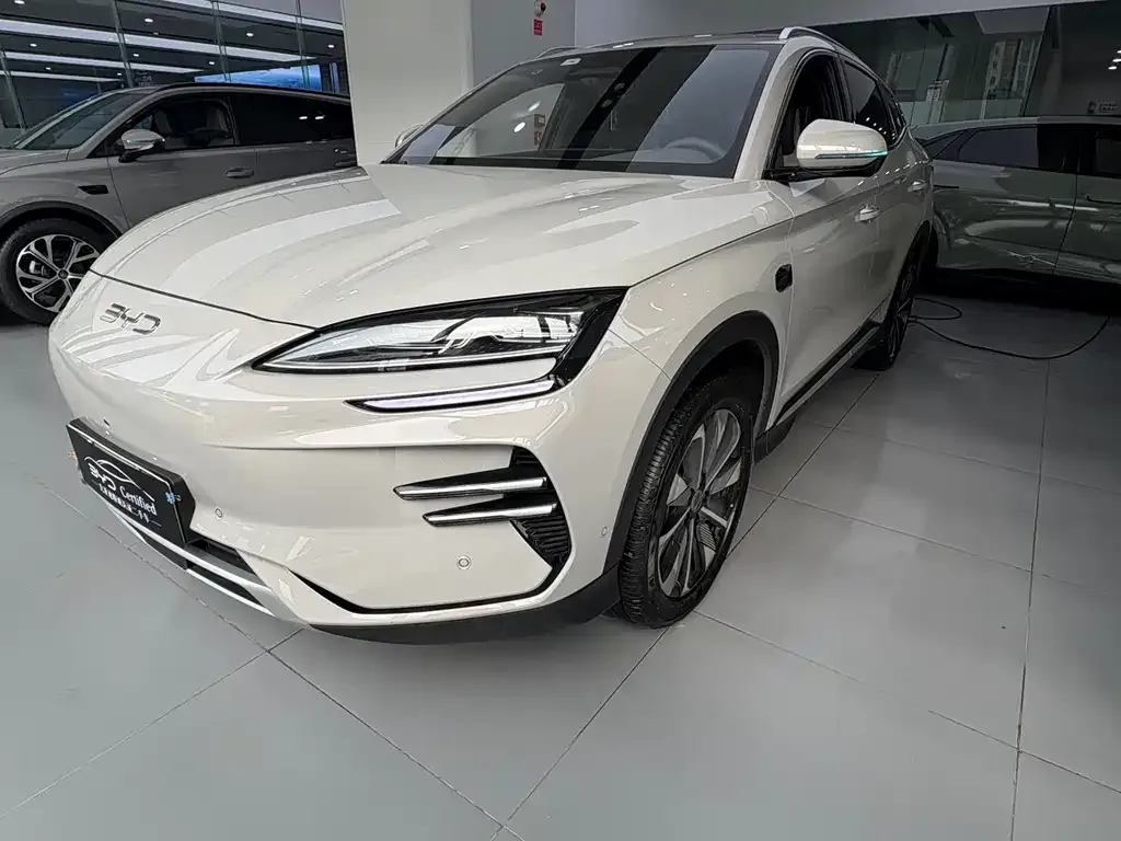 BYD PLUS New Energy — фото 1