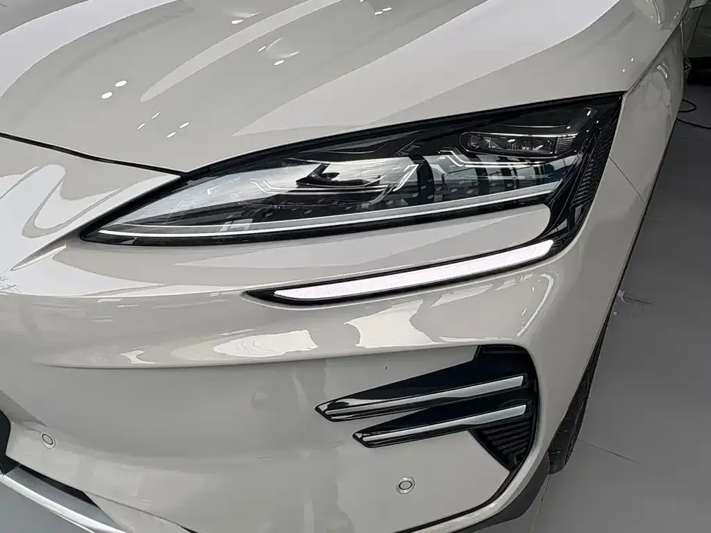 BYD PLUS New Energy — фото 6