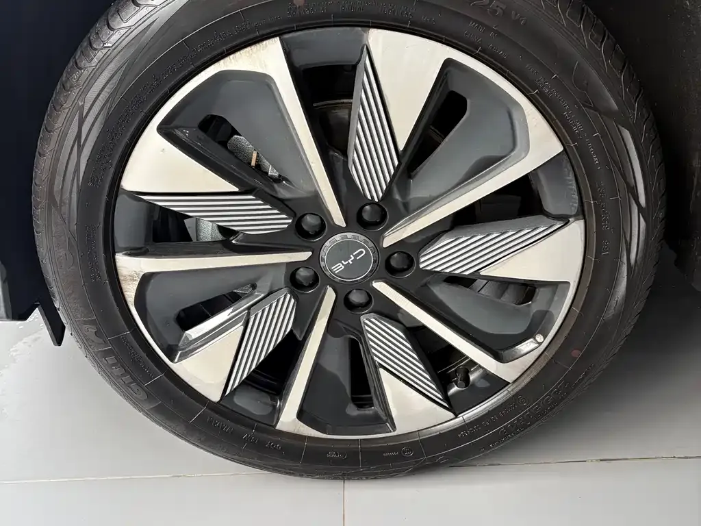 BYD PLUS New Energy — фото 4