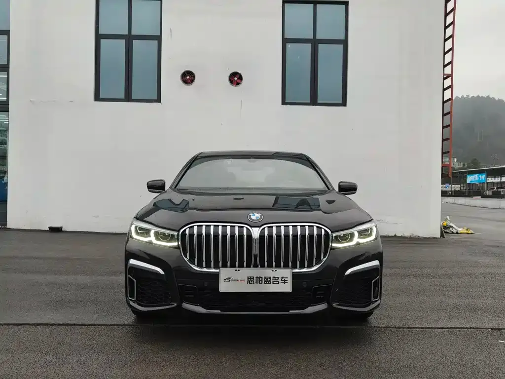 BMW 7 Series 2022 из CN, фото 8