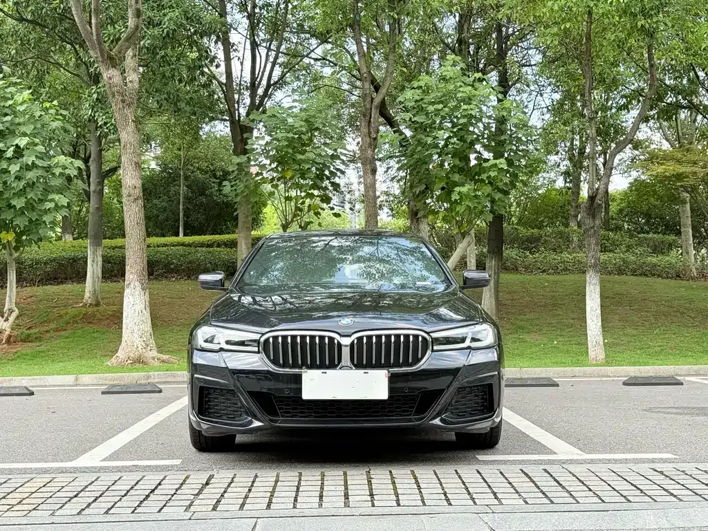 BMW 5 Series 2023 из CN, фото 10