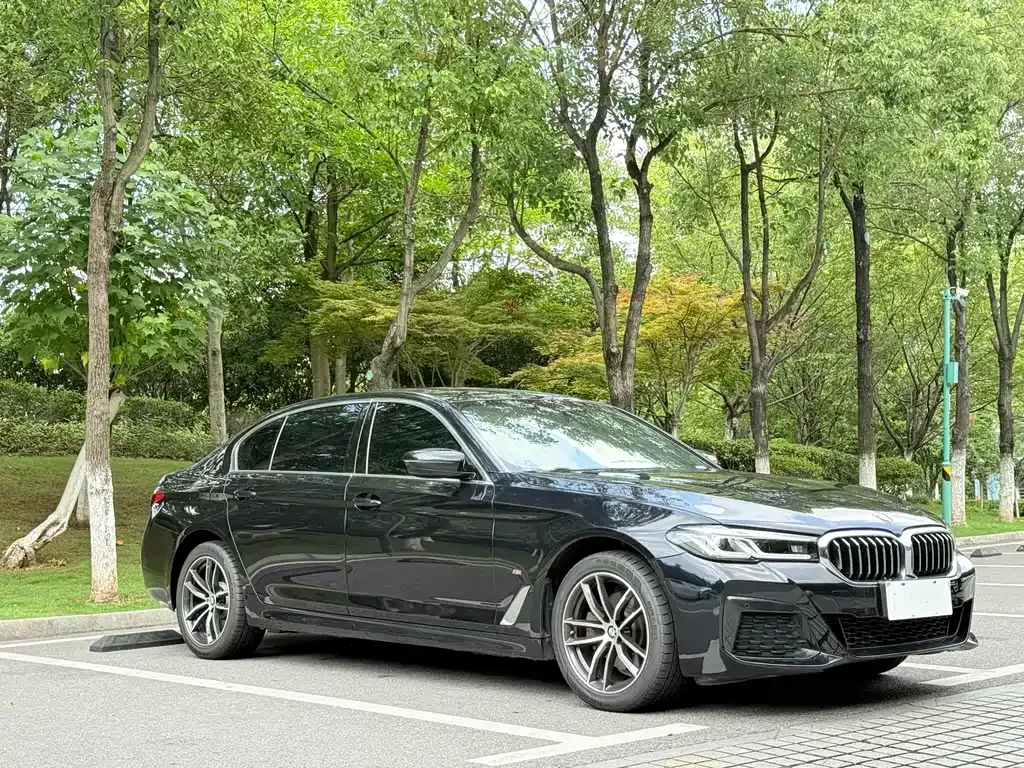 BMW 5 Series 2023 из CN, фото 9