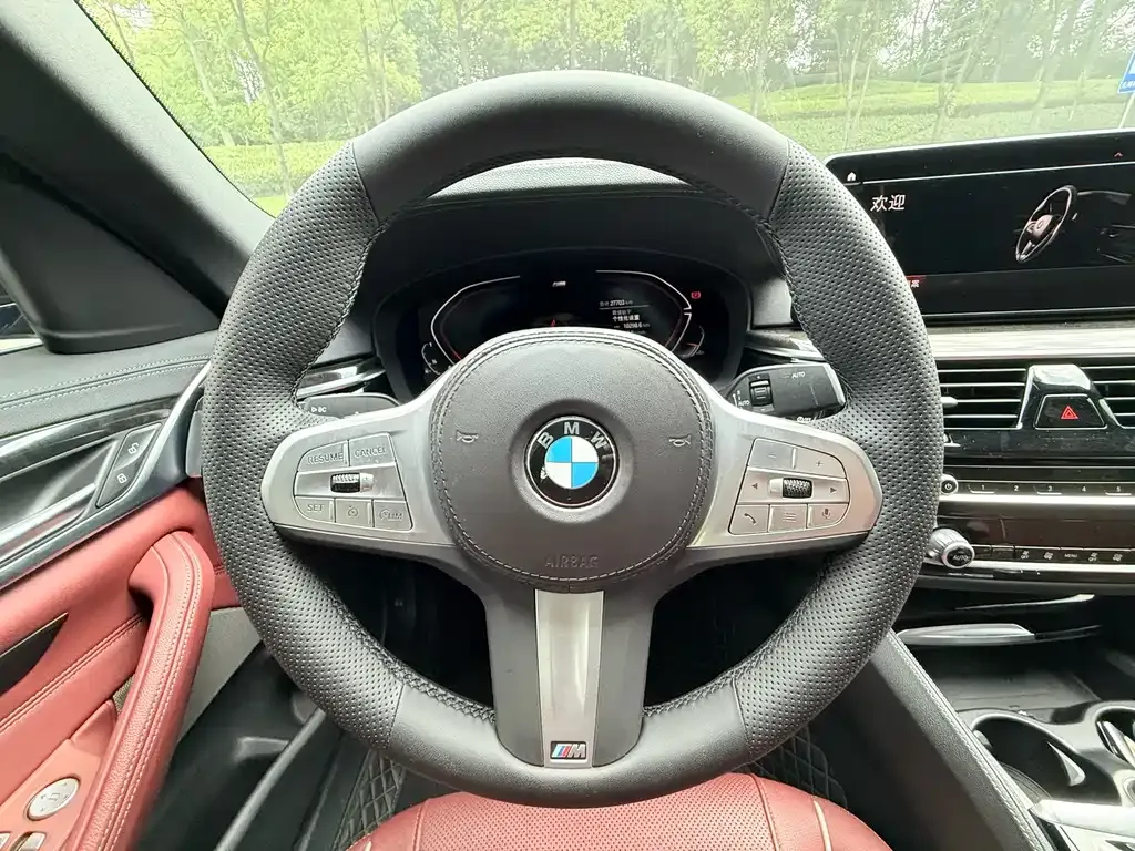 BMW 5 Series 2023 из CN, фото 8