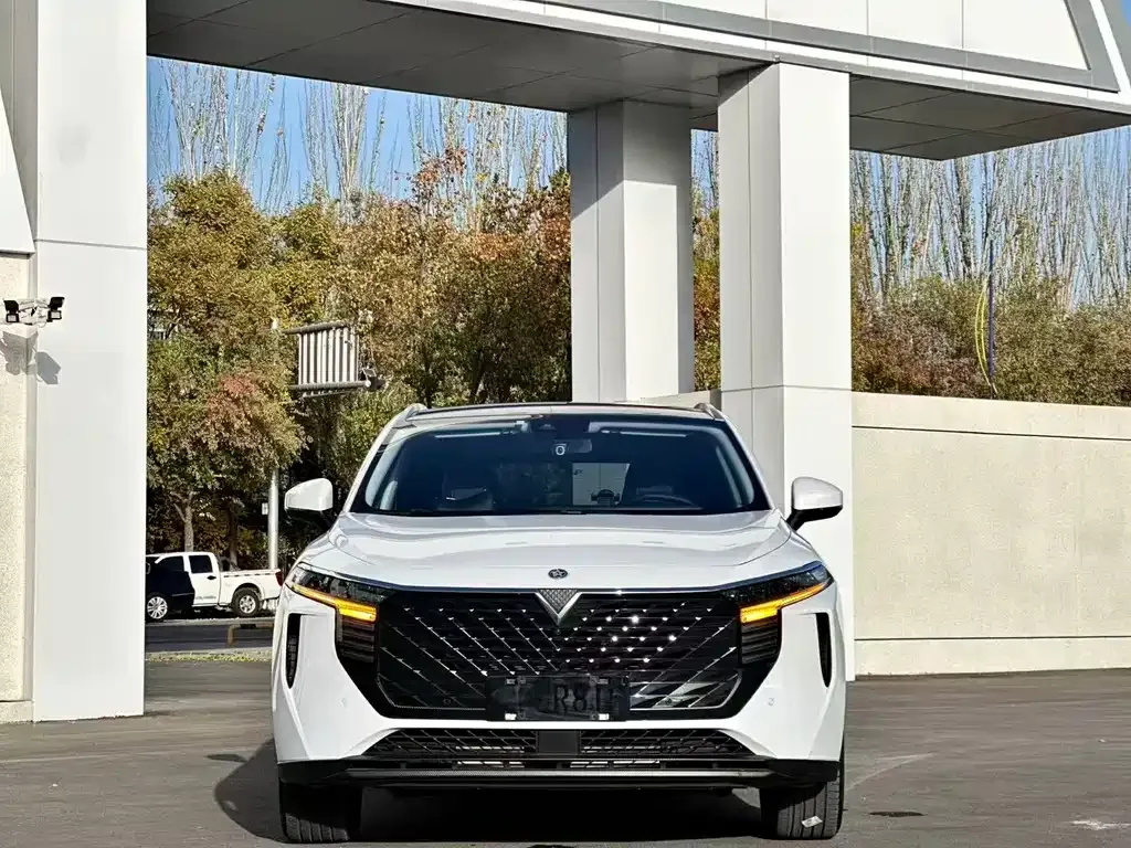 Venucia V 2022 из CN, фото 10