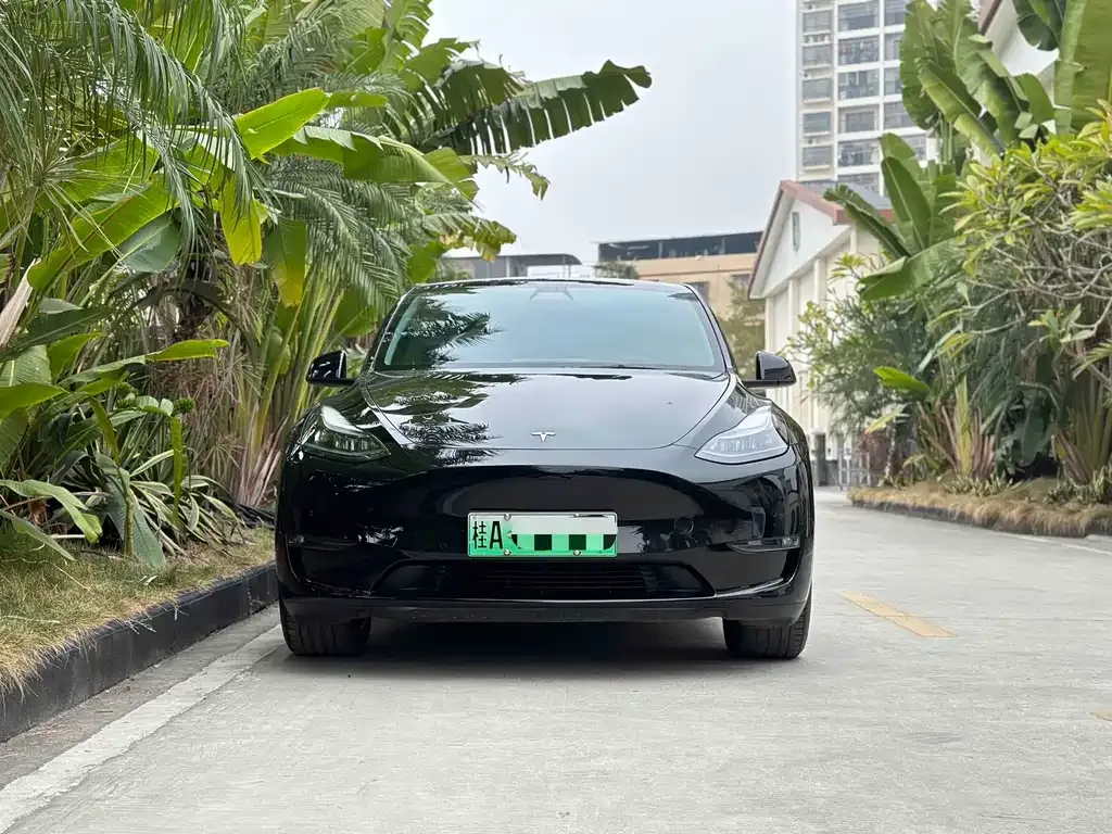 Tesla Model Y 2023 из CN, фото 5