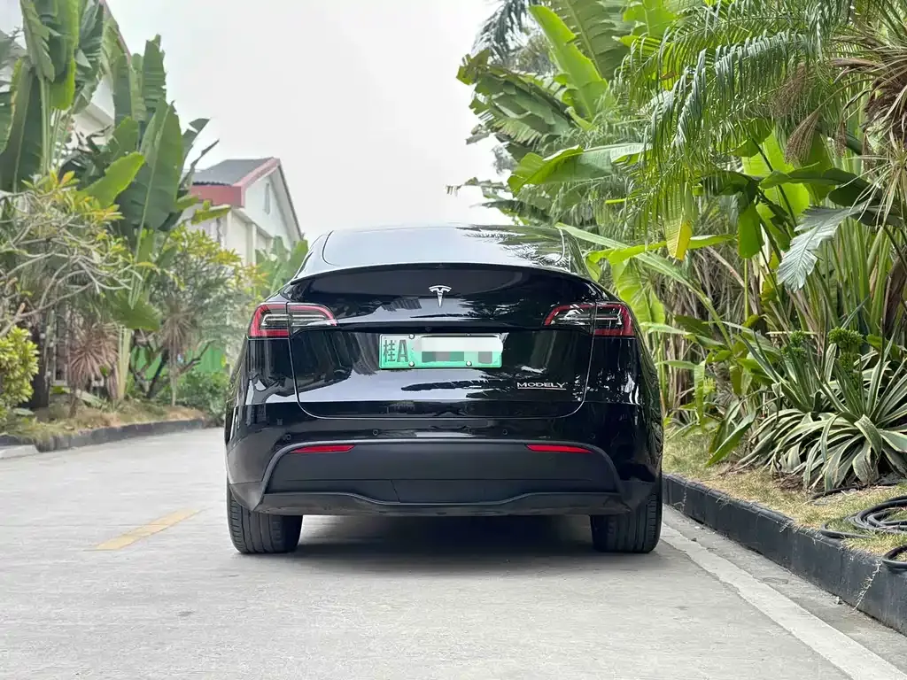 Tesla Model Y 2023 из CN, фото 4