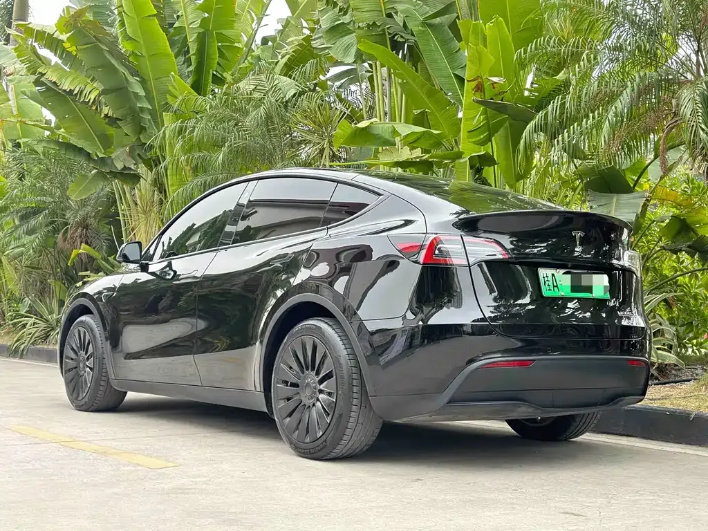 Tesla Model Y 2023 из CN, фото 7