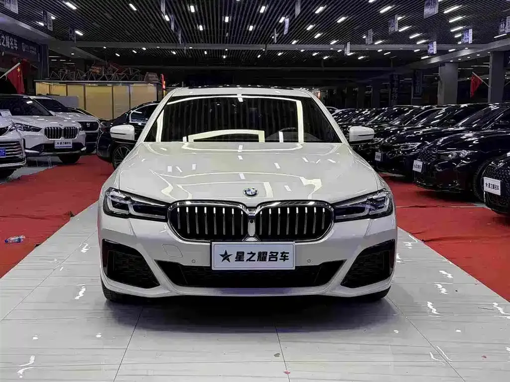 BMW 5 Series 2023 из CN, фото 6