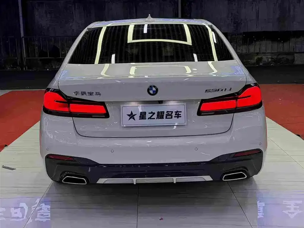 BMW 5 Series 2023 из CN, фото 10