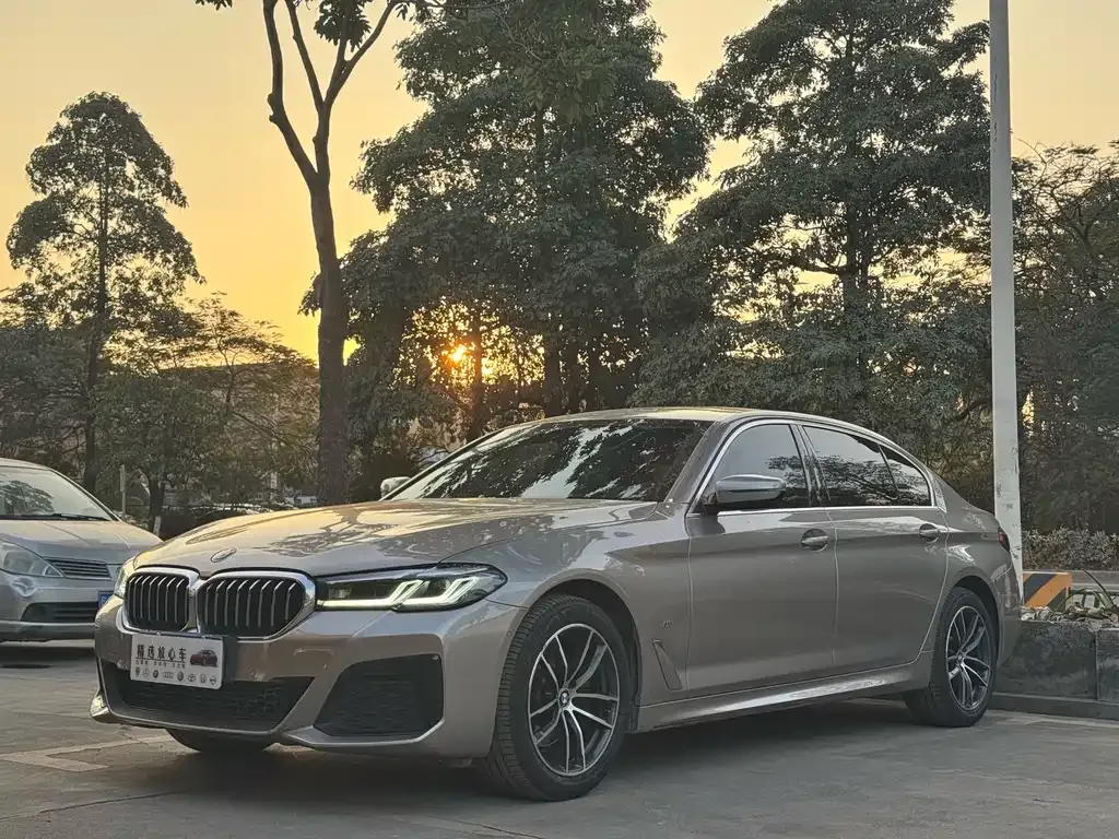 BMW 5 Series 2021 из CN, фото 1