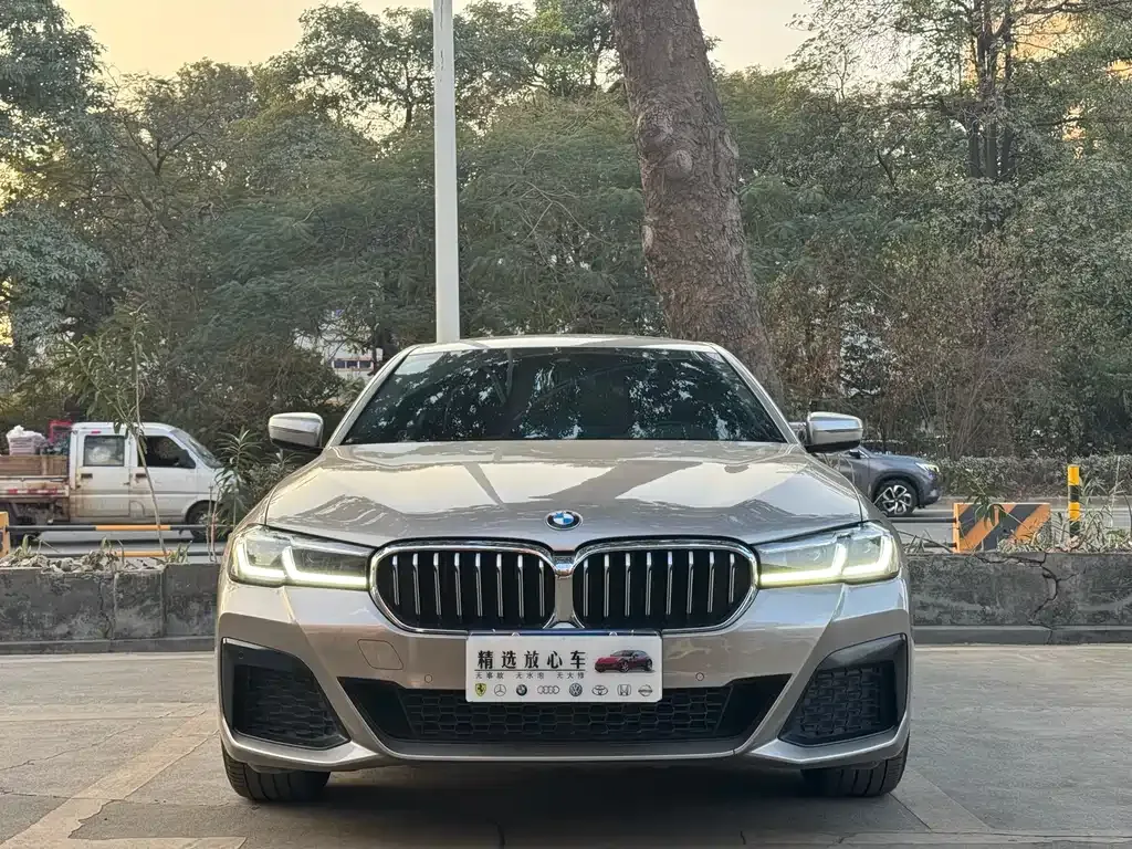 BMW 5 Series 2021 из CN, фото 3