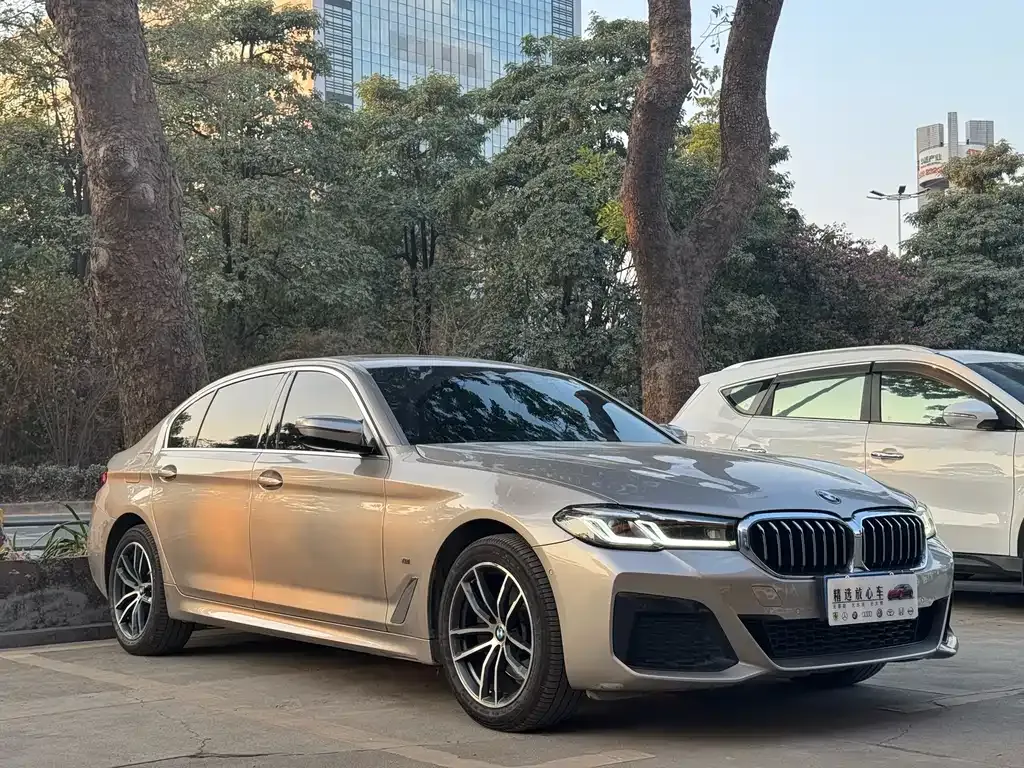 BMW 5 Series 2021 из CN, фото 6