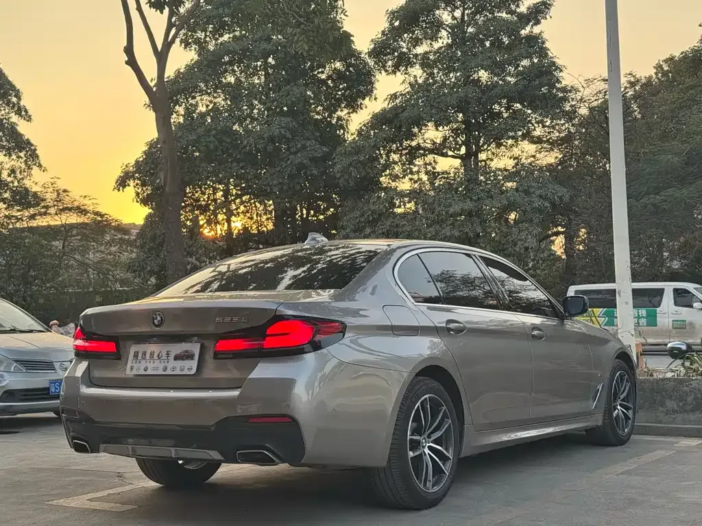 BMW 5 Series 2021 из CN, фото 9