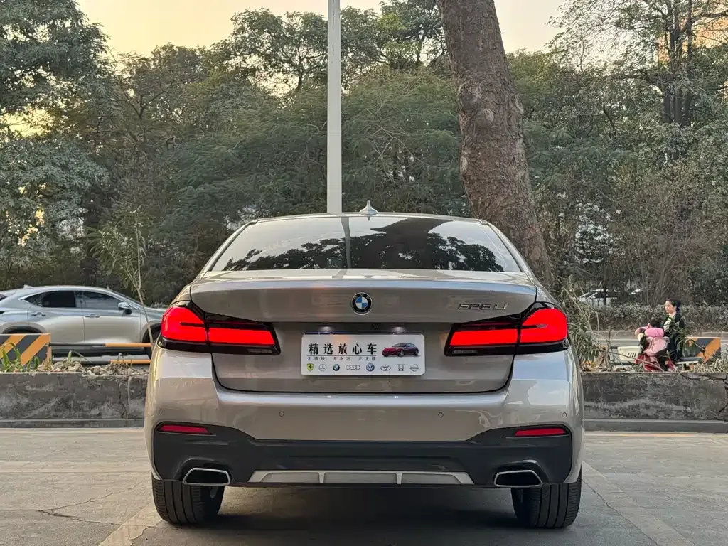 BMW 5 Series 2021 из CN, фото 10