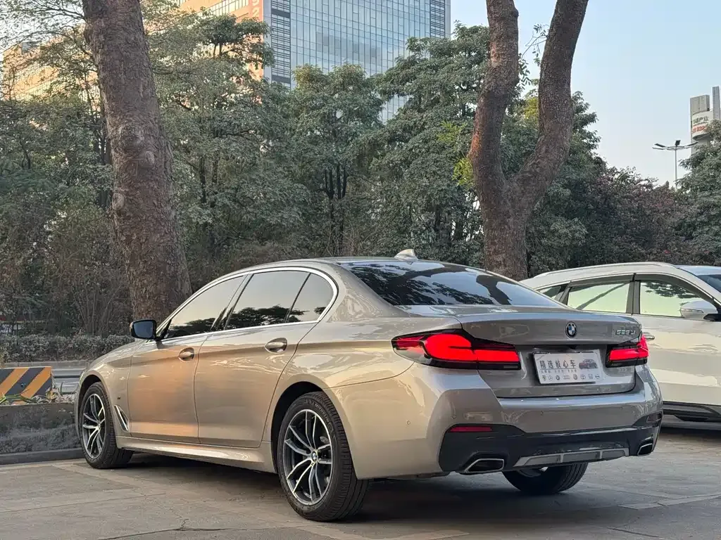 BMW 5 Series 2021 из CN, фото 4