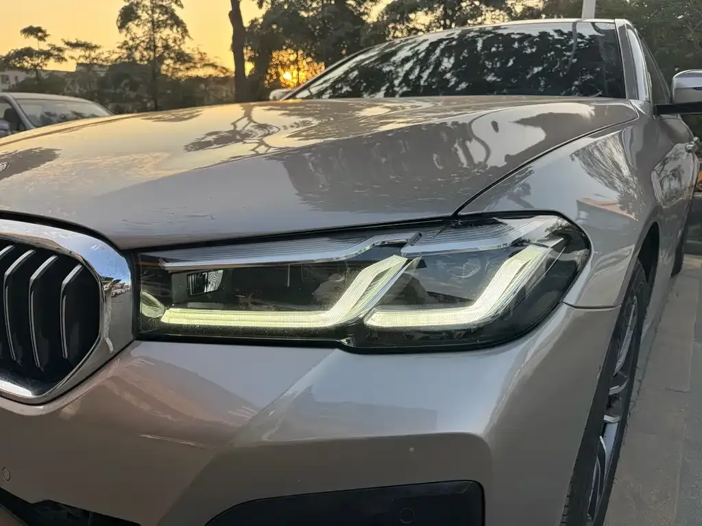 BMW 5 Series 2021 из CN, фото 8