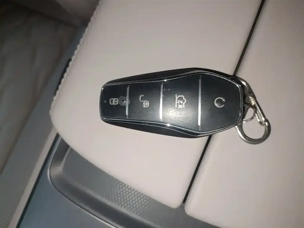 BYD Tang New Energy 2025 из CN, фото 2