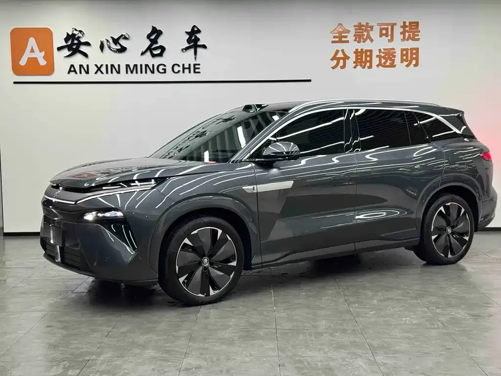 BYD Tang L 2025 из CN, фото 1