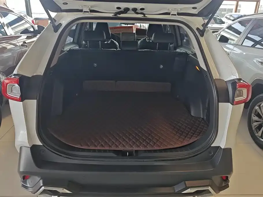 Toyota Wildlander 2021 из CN, фото 5
