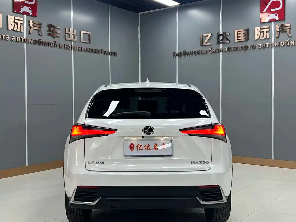 Lexus NX 2021 из CN, фото 2