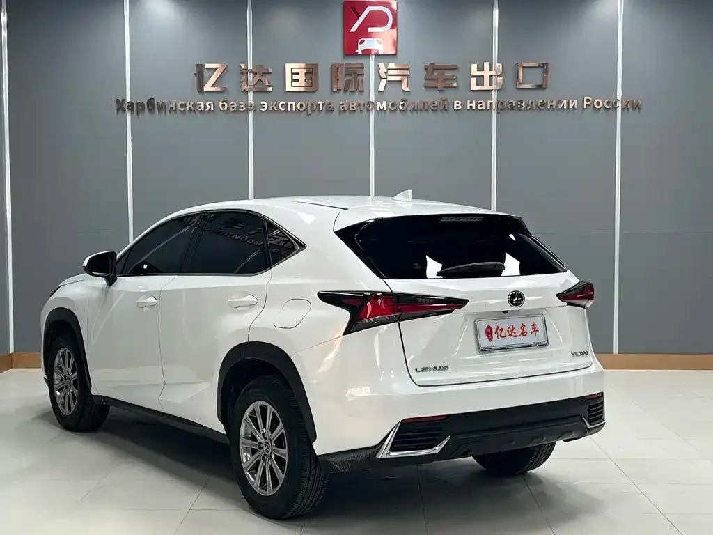 Lexus NX 2021 из CN, фото 5