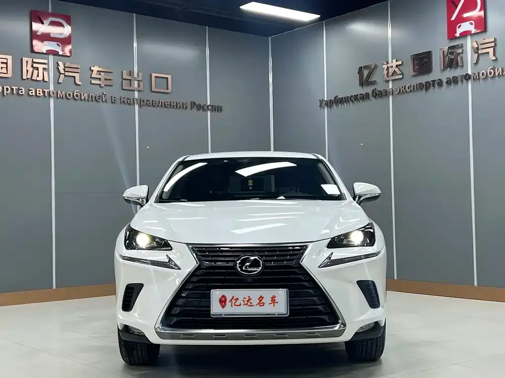 Lexus NX 2021 из CN, фото 6