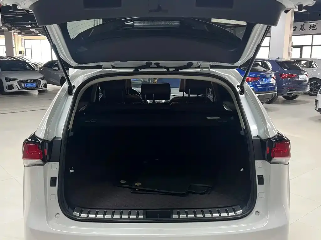 Lexus NX 2021 из CN, фото 8