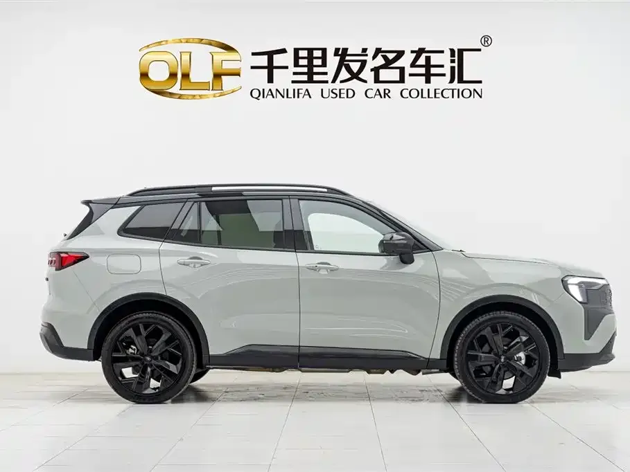 Ford Territory New Energy 2024 из CN, фото 3