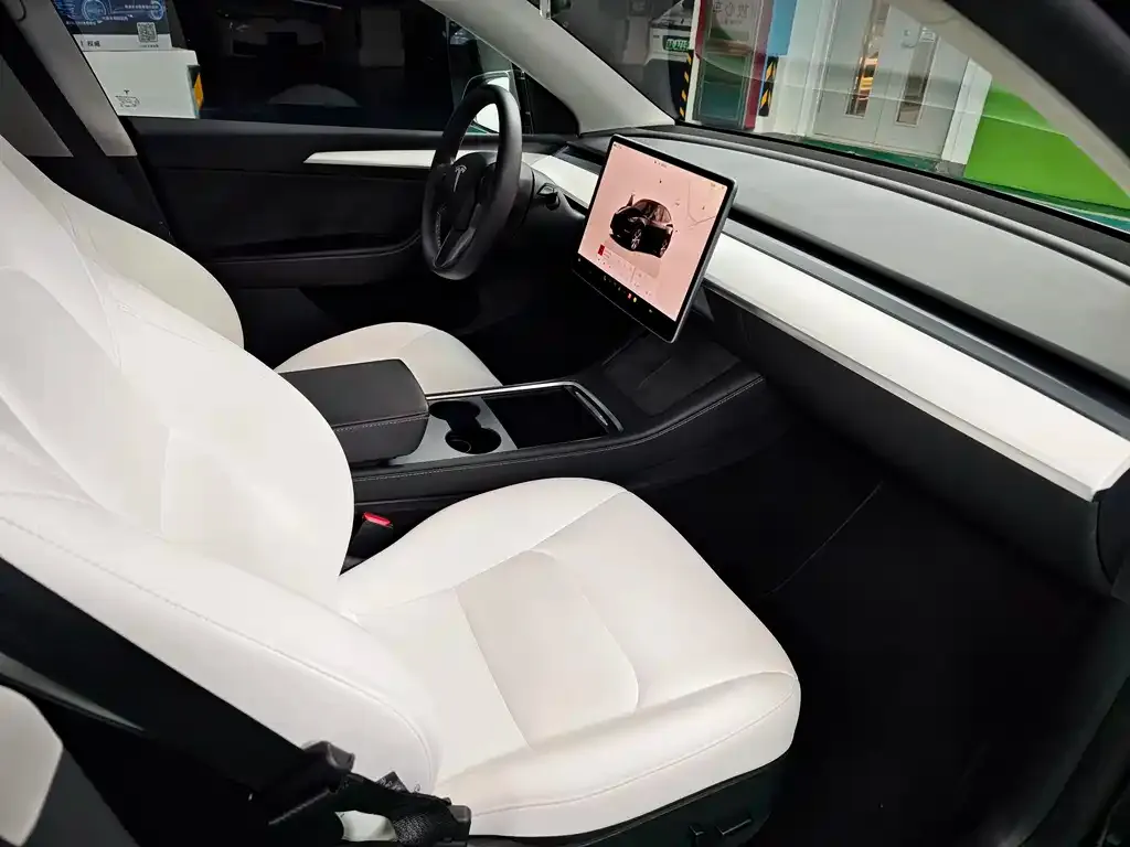 Tesla Model Y 2022 из CN, фото 3