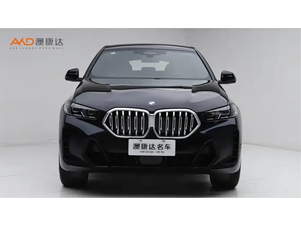 BMW X6 2024 из CN, фото 8