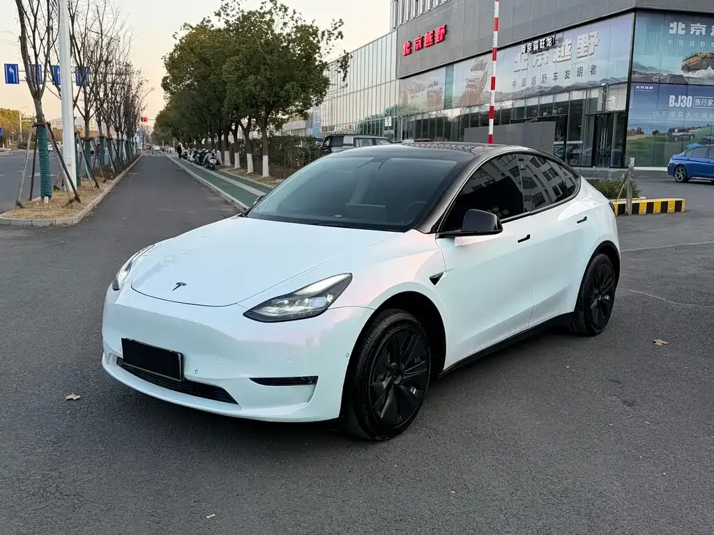 Tesla Model Y 2021 из CN, фото 1