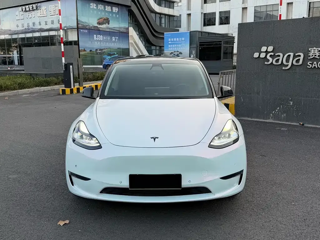 Tesla Model Y 2021 из CN, фото 8