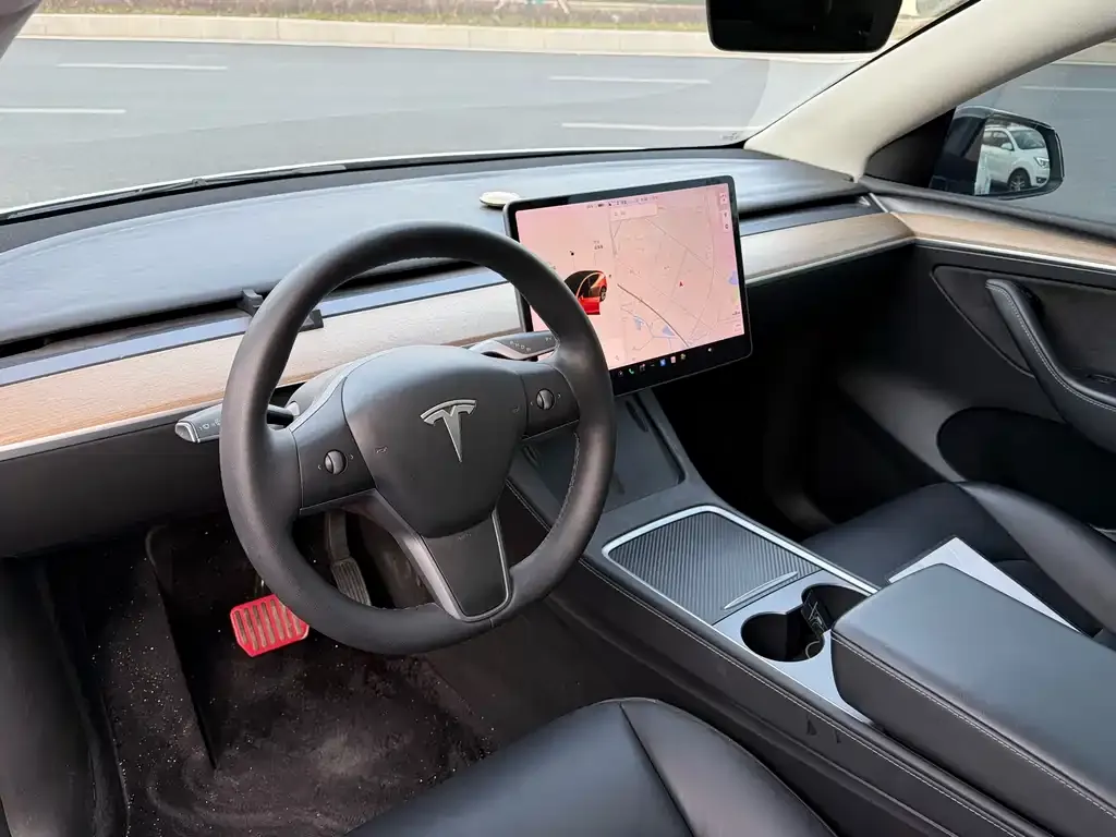 Tesla Model Y 2021 из CN, фото 4