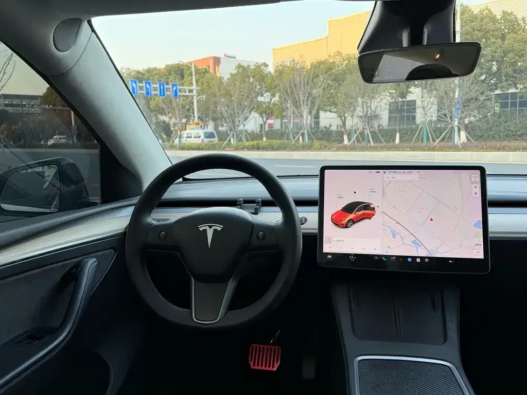 Tesla Model Y 2021 из CN, фото 3