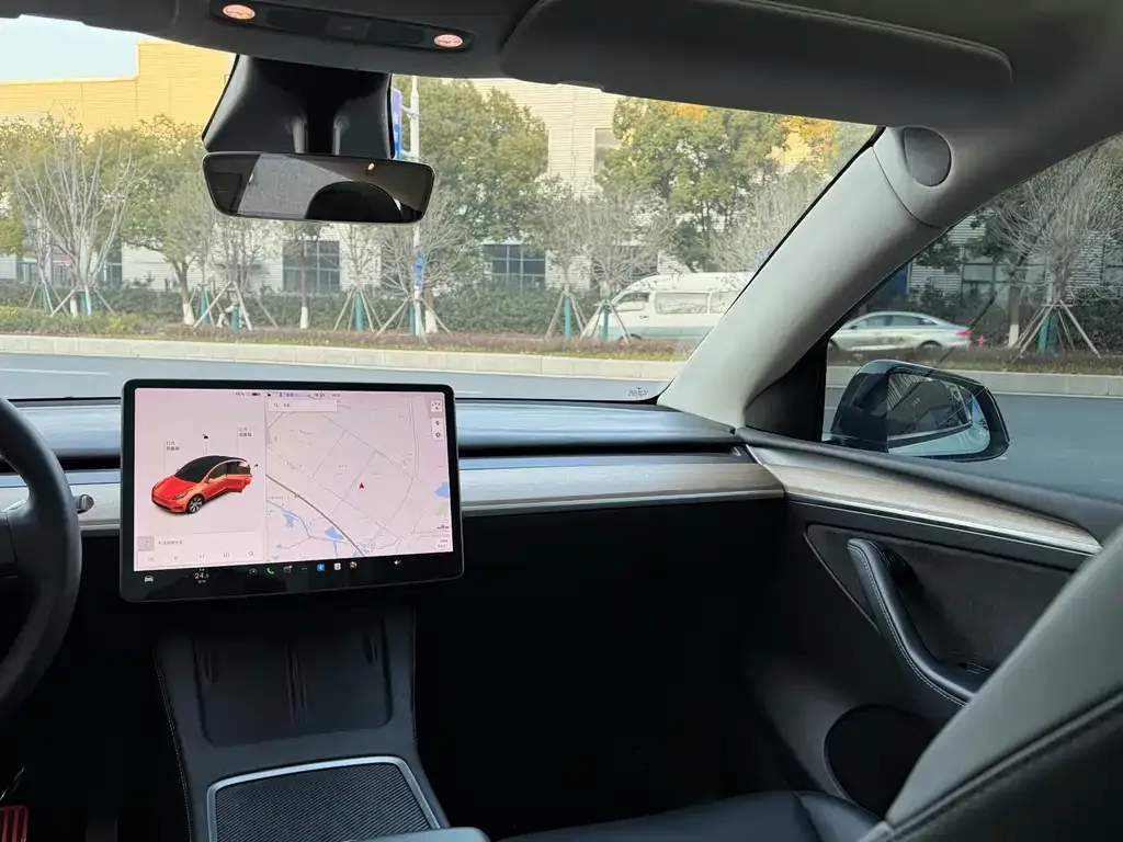 Tesla Model Y 2021 из CN, фото 6